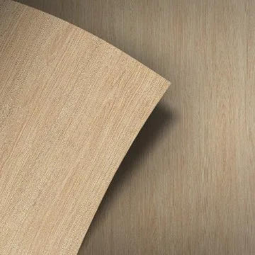 Domus